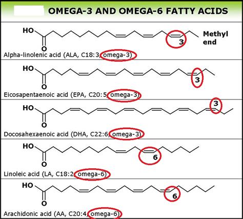 omega 3 fatty acid structure|omega 3 fatty acid diagram.